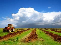 Image result for Farming Stock Image