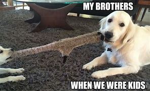 Image result for Me Too Brother Meme