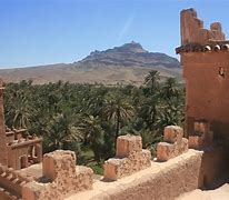 Image result for Oasis Desert Town