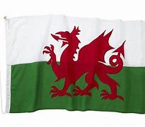 Image result for Welsh Dragon Flag Dinner Suit