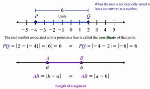 Image result for Nidline Segment