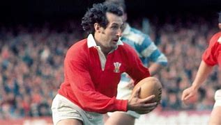 Image result for Gareth Evans Rugby Wales