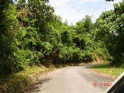 Image result for Empangan Temenggor