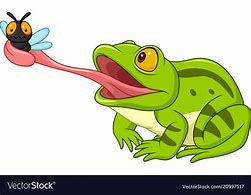 Image result for Tree Frog Catching a Fly