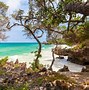 Image result for Chale Island Kenya