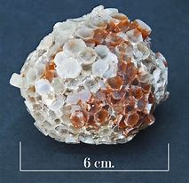 Image result for Post Aragonite