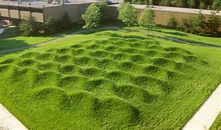 Image result for Maya Lin