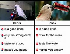 Image result for Birb Memes