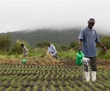 Image result for Agrarians Farming