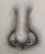 Image result for Shaded Nose Drawing