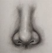 Image result for Nose Drawing Kids