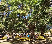 Image result for Picnic Tables in John Denver Sanctuary