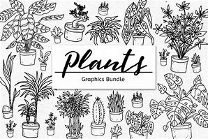 Image result for Plant Sale Graphics