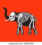 Image result for Horror Elephant Skeleton