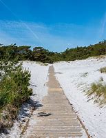 Image result for Path to Beach Background