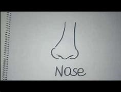 Image result for Nose Drawing Kids