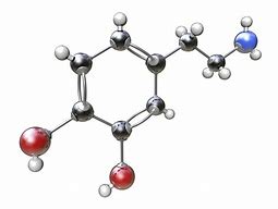 Image result for What Are Chemical Bonds