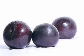 Image result for Black Plum Fruit