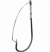 Image result for Worm Hook Rig