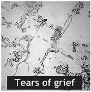 Image result for Dried Tears On Face