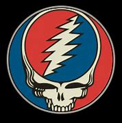 Image result for Grateful Dead Avatar