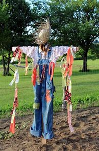 Image result for Garden Scarecrow Ideas