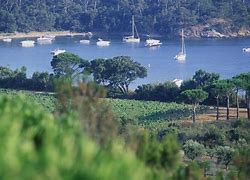 Image result for Cotes De Provence France