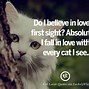 Image result for Cat Saying Yes