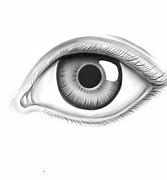 Image result for Realistic Black Eye