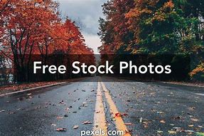 Image result for Shutterstock Copyright Free Images