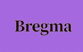 Image result for Bregma