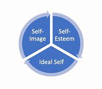 Image result for 3 Components of Self Concept