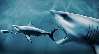 Image result for Shark Eating Gold Medal