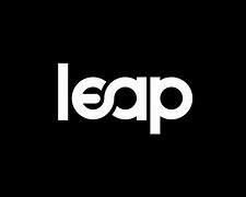 Image result for Branding Leap Logo Design