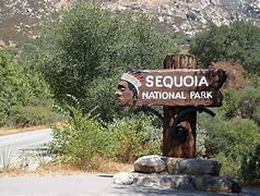 Image result for Sequoia National Park Entrance