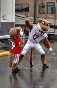 Image result for Butch Go Cougs