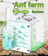 Image result for Ant Enclosure