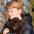 Image result for Chocolate Labradoodle