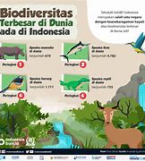 Image result for Biodiversitas Di Indonesia