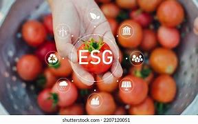 Image result for ESG for Kids