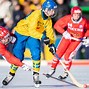 Image result for Bandy Hockey Ball