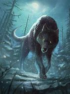 Image result for Amarok Wolves