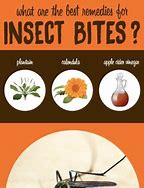 Image result for Fungi Bites and Stings