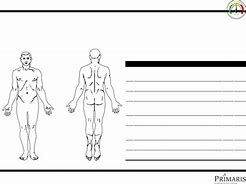 Image result for Skin Scope Chart