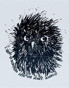 Image result for Sad Wet Owl