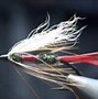 Image result for Dry Fly Fishing