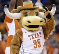 Image result for Houston University Mascot