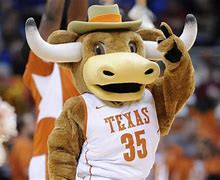 Image result for Texas State Mascot