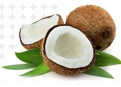 Image result for Cocco Bevante