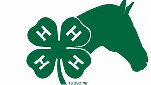 Image result for 4-H Horse Clip Art